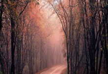 广东股票配资开户流程详解:昆山股票配资-科创50指数暴涨 业内建议：尊重趋势 不盲从泡沫